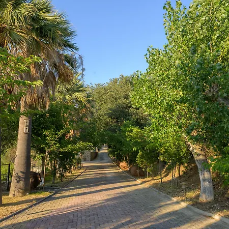 Отель Costa Avithos 4*