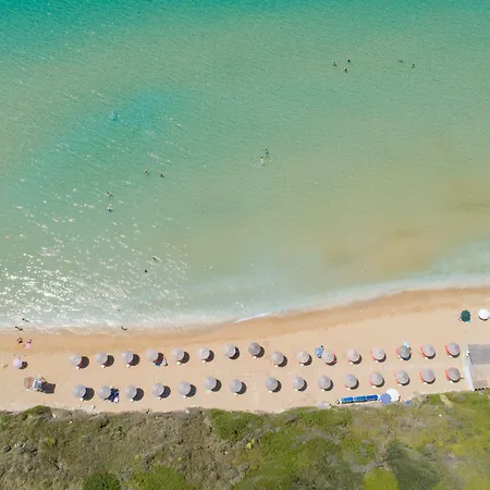 Costa Avithos Свороната