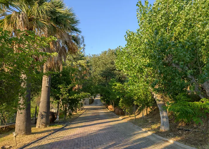 Hotel Costa Avithos 4*