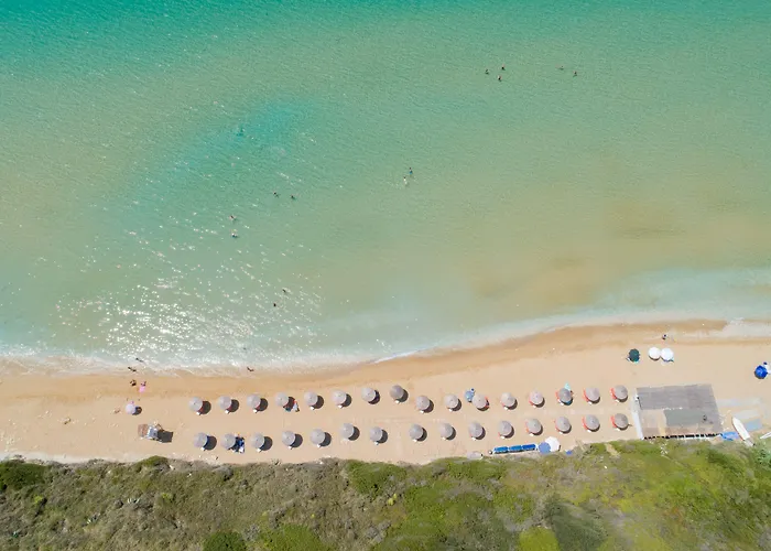 Costa Avithos סבורונטה